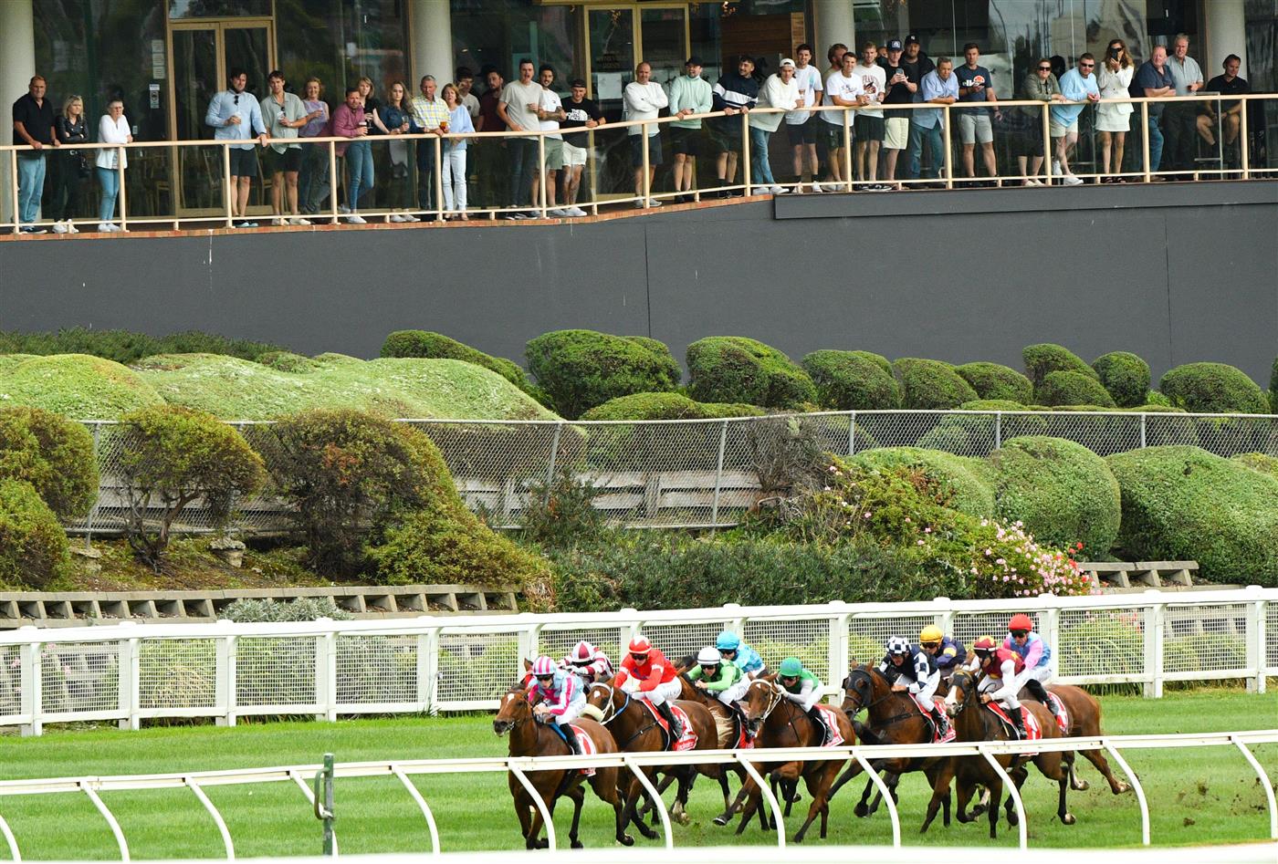 MELBOURNE, AUSTRALIA - JANUARY 29: Ben Allen riding Marabi winning Race 7, the Ma Services Group Australia Stakes, during Melbourne Racing at Moonee Valley Racecourse on January 29, 2022 in Melbourne, Australia. (Photo by Vince Caligiuri/Getty Images)