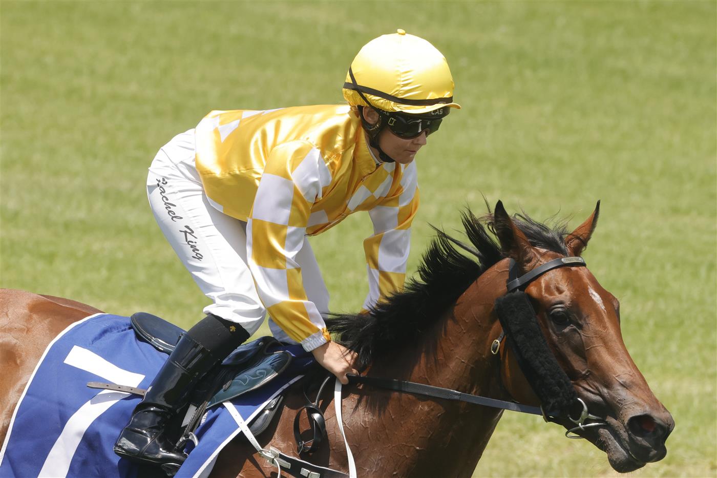 SYDNEY, AUSTRALIA - JANUARY 29: Rachel King on Queen Of The Ball returns to scale after winning
 race 3 the Widden Stakes during Sydney Racing at Rosehill Gardens on January 29, 2022 in Sydney, Australia. (Photo by Jenny Evans/Getty Images)
