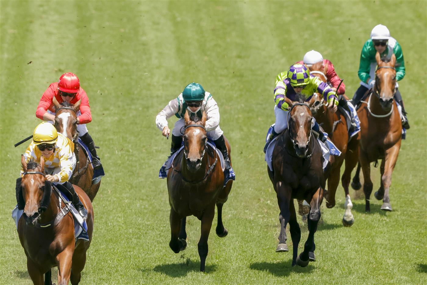SYDNEY, AUSTRALIA - JANUARY 29: Rachel King (yellow) on Queen Of The Ball wins race 3 the Widden Stakes during Sydney Racing at Rosehill Gardens on January 29, 2022 in Sydney, Australia. (Photo by Jenny Evans/Getty Images)