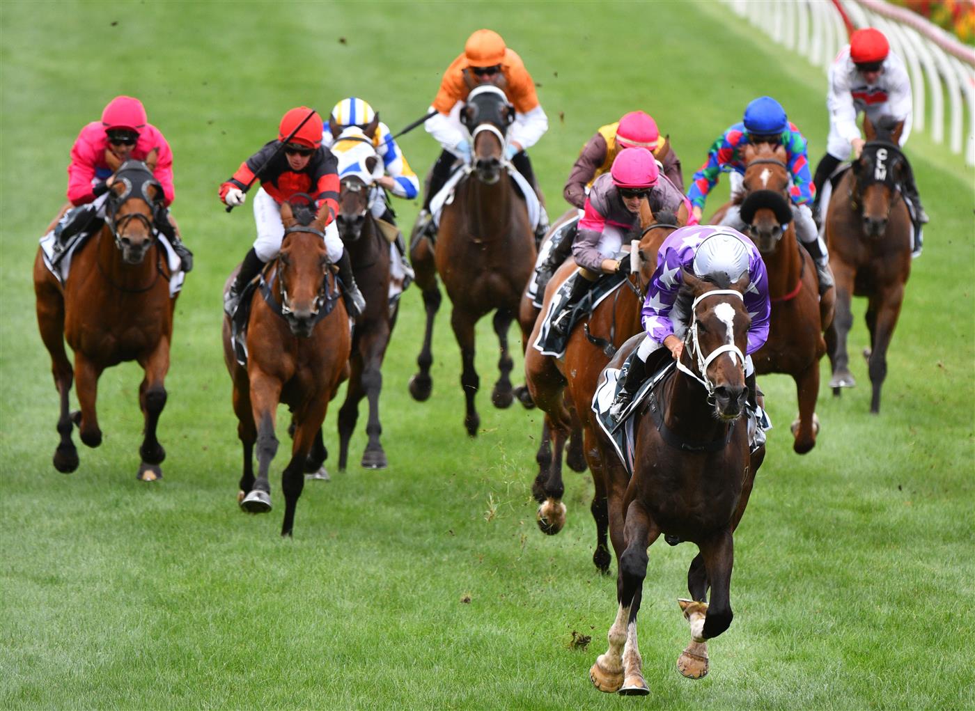 MELBOURNE, AUSTRALIA - JANUARY 29: Damien Oliver riding Rousseau winning Race 4, the Entry Education Martin Ralston Cup, during Melbourne Racing at Moonee Valley Racecourse on January 29, 2022 in Melbourne, Australia. (Photo by Vince Caligiuri/Getty Images)