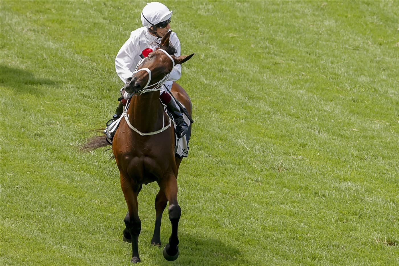SYDNEY, AUSTRALIA - JANUARY 29: Hugh Bowman on Centimental returns to scale after winning
 race 4 the Chandon Handicap during Sydney Racing at Rosehill Gardens on January 29, 2022 in Sydney, Australia. (Photo by Jenny Evans/Getty Images)