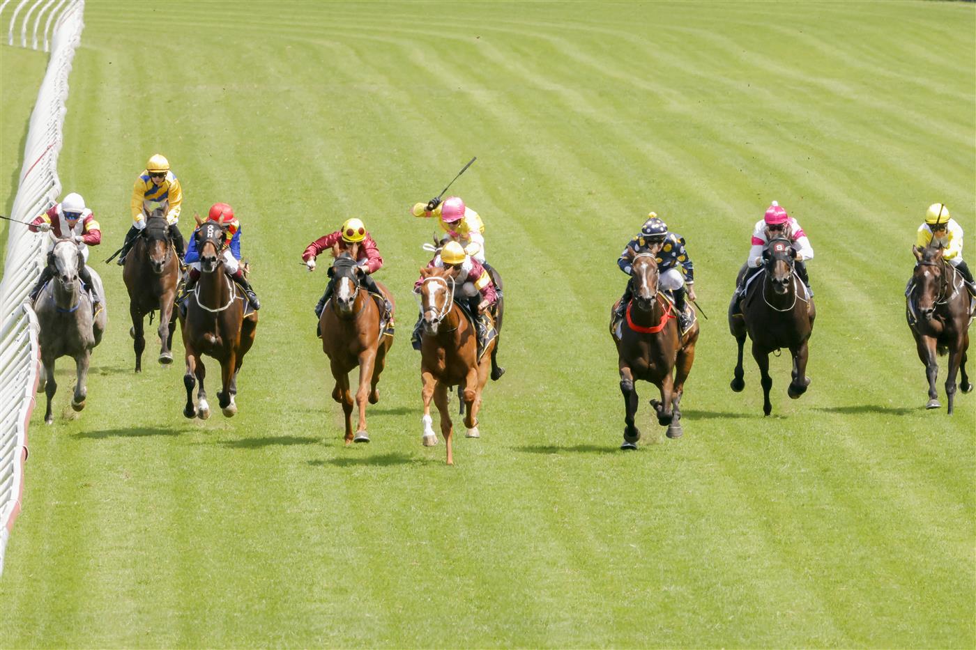 SYDNEY, AUSTRALIA - JANUARY 29: James McDonald on Crystal Pegasus wins race 6 the Schweppes Handicap during Sydney Racing at Rosehill Gardens on January 29, 2022 in Sydney, Australia. (Photo by Jenny Evans/Getty Images)