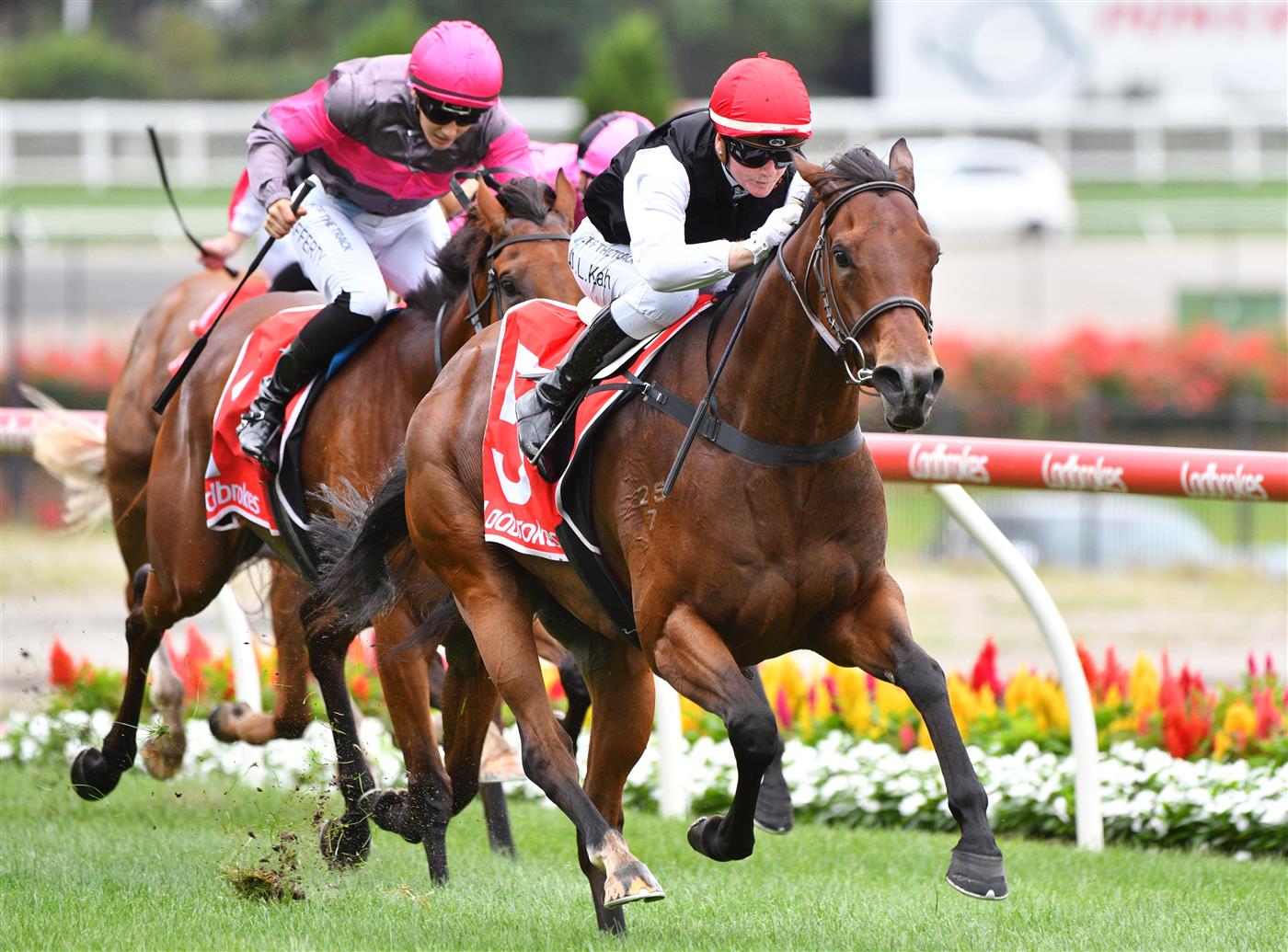 MELBOURNE, AUSTRALIA - JANUARY 29: Jamie Kah riding Americain Angel winning Race 2, the Ladbrokes Handicap, during Melbourne Racing at Moonee Valley Racecourse on January 29, 2022 in Melbourne, Australia. (Photo by Vince Caligiuri/Getty Images)