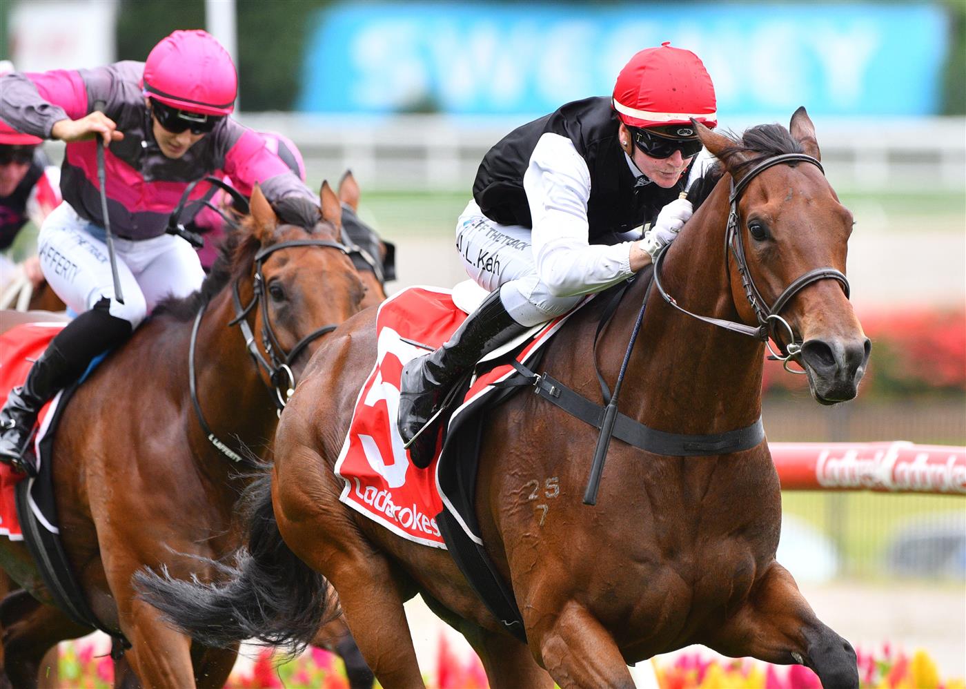 MELBOURNE, AUSTRALIA - JANUARY 29: Jamie Kah riding Americain Angel winning Race 2, the Ladbrokes Handicap, during Melbourne Racing at Moonee Valley Racecourse on January 29, 2022 in Melbourne, Australia. (Photo by Vince Caligiuri/Getty Images)
