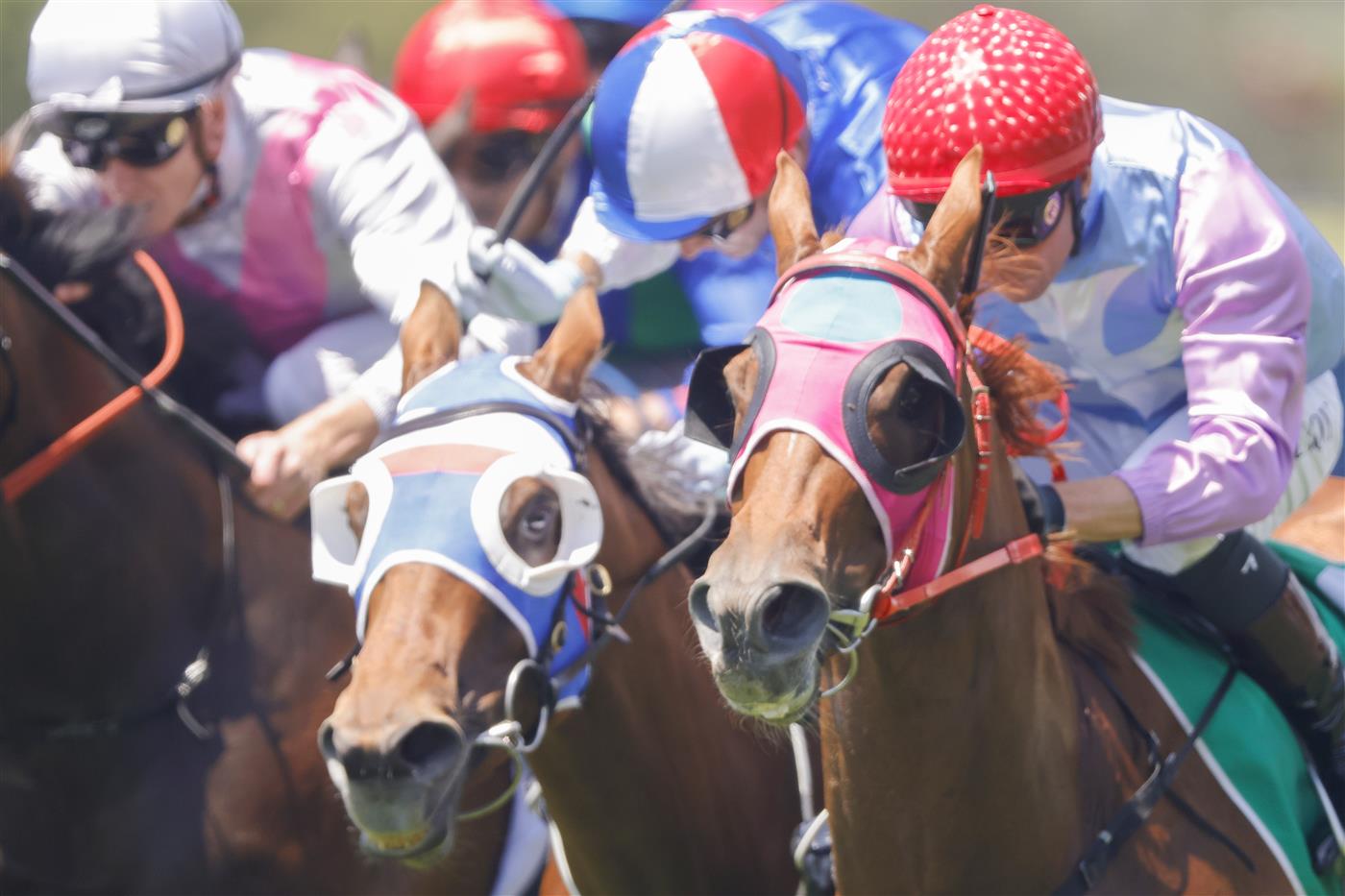 SYDNEY, AUSTRALIA - JANUARY 29: Kerrin McEvoy (R) on Markievicz wins race 1 the Tab Highway Plate during Sydney Racing at Rosehill Gardens on January 29, 2022 in Sydney, Australia. (Photo by Jenny Evans/Getty Images)