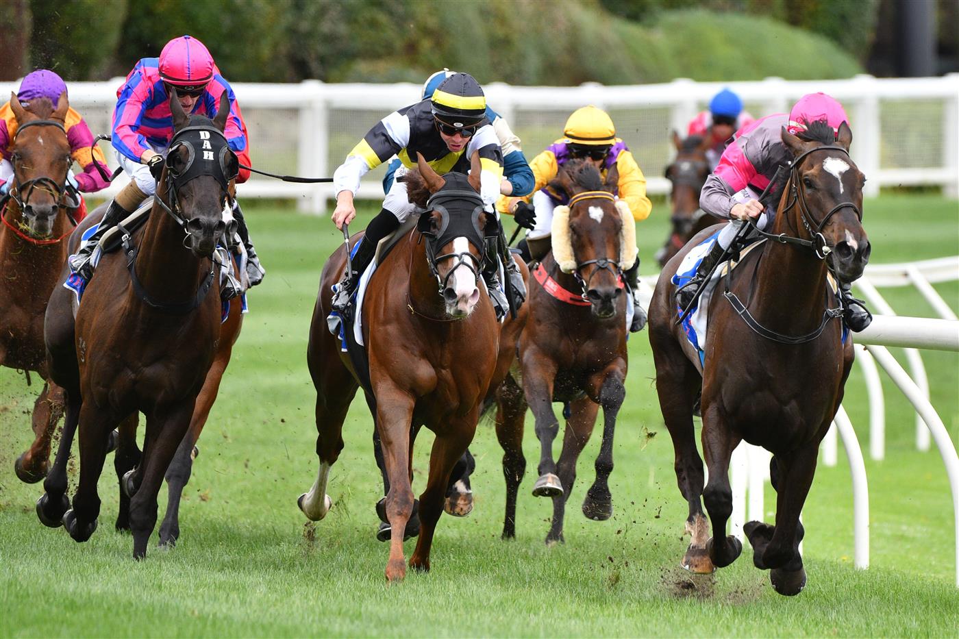 MELBOURNE, AUSTRALIA - JANUARY 29: Linda Meech riding Zoltan winning Race 3, the Ascend Sales Trophies Handicap, during Melbourne Racing at Moonee Valley Racecourse on January 29, 2022 in Melbourne, Australia. (Photo by Vince Caligiuri/Getty Images)