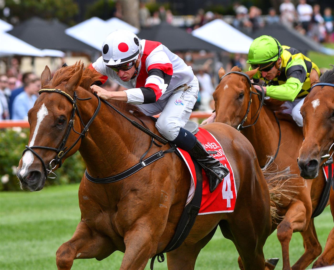 MELBOURNE, AUSTRALIA - JANUARY 29: Michael Dee riding Pinstriped winning race 5,  the Chandler Macleod Vobis Gold Carat, during Melbourne Racing at Moonee Valley Racecourse on January 29, 2022 in Melbourne, Australia. (Photo by Vince Caligiuri/Getty Images)