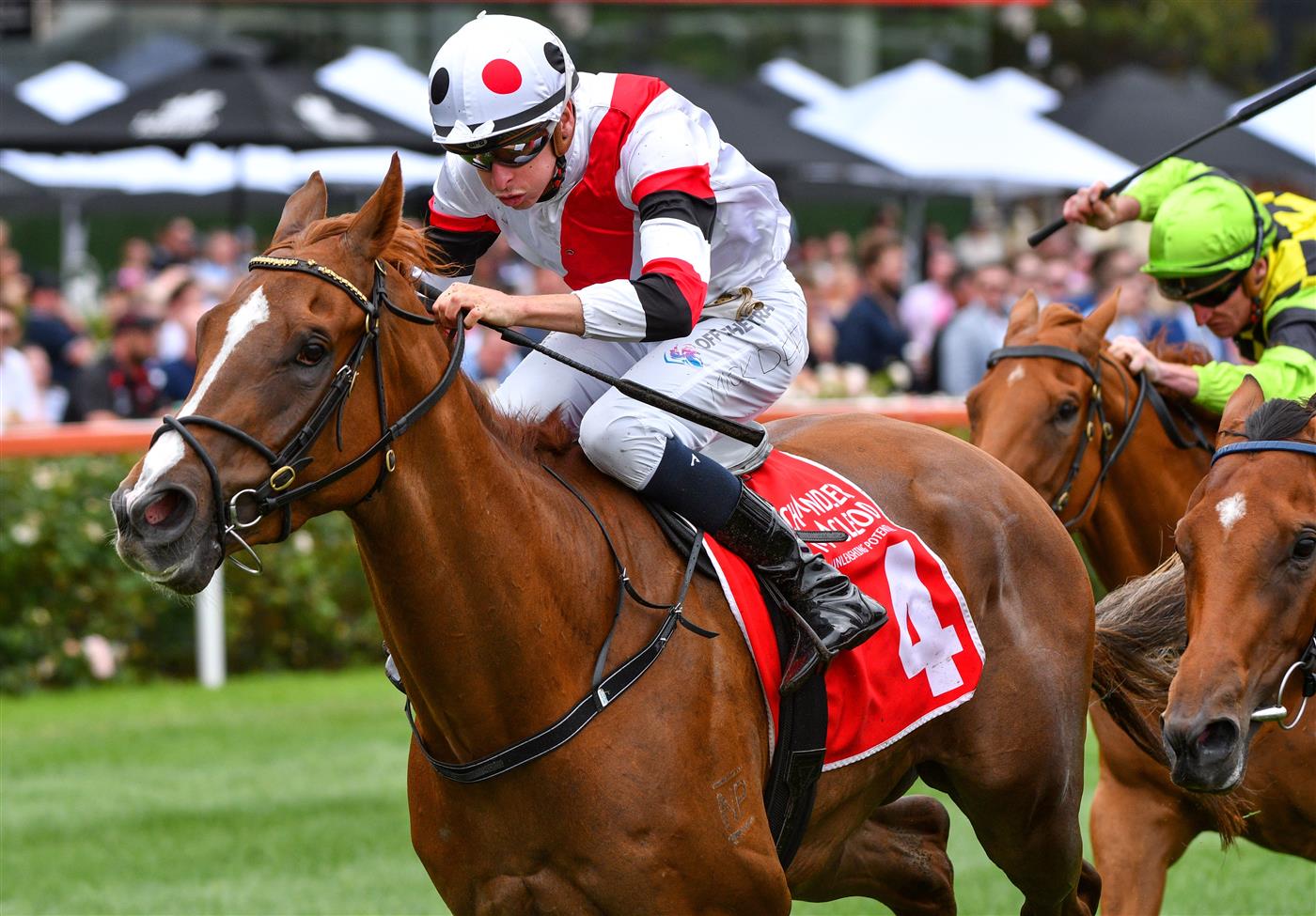 MELBOURNE, AUSTRALIA - JANUARY 29: Michael Dee riding Pinstriped winning race 5,  the Chandler Macleod Vobis Gold Carat, during Melbourne Racing at Moonee Valley Racecourse on January 29, 2022 in Melbourne, Australia. (Photo by Vince Caligiuri/Getty Images)