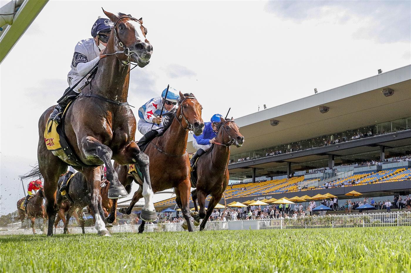 SYDNEY, AUSTRALIA - JANUARY 29: Tim Clark on Overpass wins race 7 the XXXX Expressway Stakes during Sydney Racing at Rosehill Gardens on January 29, 2022 in Sydney, Australia. (Photo by Jenny Evans/Getty Images)