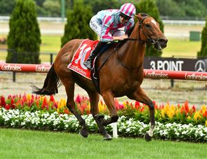 MELBOURNE, AUSTRALIA - JANUARY 29: Ben Allen riding Marabi winning Race 7, the Ma Services Group Australia Stakes, during Melbourne Racing at Moonee Valley Racecourse on January 29, 2022 in Melbourne, Australia. (Photo by Vince Caligiuri/Getty Images)