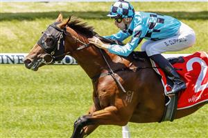 SYDNEY, AUSTRALIA - JANUARY 29: Sam Clipperton on Best Of Bordeaux wins race 2 the Fujitsu General Canonbury Stakes during Sydney Racing at Rosehill Gardens on January 29, 2022 in Sydney, Australia. (Photo by Jenny Evans/Getty Images)