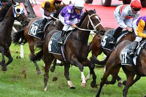 MELBOURNE, AUSTRALIA - JANUARY 29: Damien Oliver riding Rousseau in the first lap before winning Race 4, the Entry Education Martin Ralston Cup, during Melbourne Racing at Moonee Valley Racecourse on January 29, 2022 in Melbourne, Australia. (Photo by Vince Caligiuri/Getty Images)