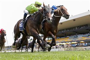 SYDNEY, AUSTRALIA - JANUARY 29: Hugh Bowman (blue) on More Sundays wins race 5 the Midway Handicap during Sydney Racing at Rosehill Gardens on January 29, 2022 in Sydney, Australia. (Photo by Jenny Evans/Getty Images)