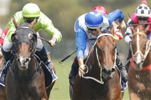 SYDNEY, AUSTRALIA - JANUARY 29: Hugh Bowman (blue) on More Sundays wins race 5 the Midway Handicap during Sydney Racing at Rosehill Gardens on January 29, 2022 in Sydney, Australia. (Photo by Jenny Evans/Getty Images)