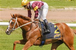SYDNEY, AUSTRALIA - JANUARY 29: James McDonald on Crystal Pegasus wins race 6 the Schweppes Handicap during Sydney Racing at Rosehill Gardens on January 29, 2022 in Sydney, Australia. (Photo by Jenny Evans/Getty Images)