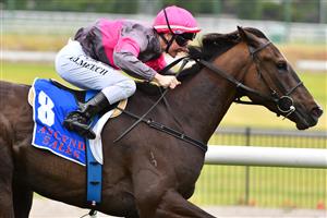 MELBOURNE, AUSTRALIA - JANUARY 29: Linda Meech riding Zoltan winning Race 3, the Ascend Sales Trophies Handicap, during Melbourne Racing at Moonee Valley Racecourse on January 29, 2022 in Melbourne, Australia. (Photo by Vince Caligiuri/Getty Images)