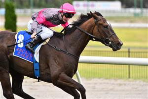 MELBOURNE, AUSTRALIA - JANUARY 29: Linda Meech riding Zoltan winning Race 3, the Ascend Sales Trophies Handicap, during Melbourne Racing at Moonee Valley Racecourse on January 29, 2022 in Melbourne, Australia. (Photo by Vince Caligiuri/Getty Images)
