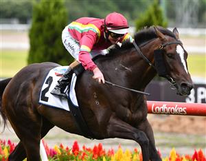 MELBOURNE, AUSTRALIA - JANUARY 29: Luke Nolen riding Gentleman Roy winning race 6, the Steamatic Handicap,  during Melbourne Racing at Moonee Valley Racecourse on January 29, 2022 in Melbourne, Australia. (Photo by Vince Caligiuri/Getty Images)