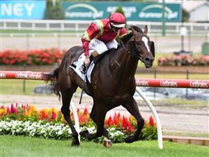 MELBOURNE, AUSTRALIA - JANUARY 29: Luke Nolen riding Gentleman Roy winning race 6, the Steamatic Handicap,  during Melbourne Racing at Moonee Valley Racecourse on January 29, 2022 in Melbourne, Australia. (Photo by Vince Caligiuri/Getty Images)