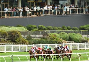 Moonee Valley Highlights - Jan 29
