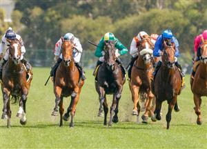 Rosehill Highlights