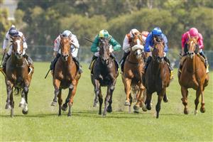 SYDNEY, AUSTRALIA - JANUARY 29: Tim Clark (L) on Overpass wins race 7 the XXXX Expressway Stakes during Sydney Racing at Rosehill Gardens on January 29, 2022 in Sydney, Australia. (Photo by Jenny Evans/Getty Images)