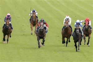 SYDNEY, AUSTRALIA - JANUARY 29: Tommy Berry on Wairere Falls wins race 8 the Ned Whisky Handicap during Sydney Racing at Rosehill Gardens on January 29, 2022 in Sydney, Australia. (Photo by Jenny Evans/Getty Images)
