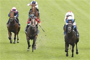 SYDNEY, AUSTRALIA - JANUARY 29: Tommy Berry on Wairere Falls wins race 8 the Ned Whisky Handicap during Sydney Racing at Rosehill Gardens on January 29, 2022 in Sydney, Australia. (Photo by Jenny Evans/Getty Images)