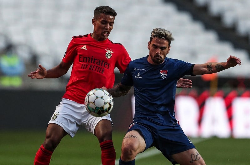 Benfica vs tottenham betting tips long walk hurdle betting on sports