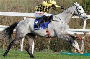 2022 Irish Gold Cup Tips - Take a chance on Willie's wandering grey