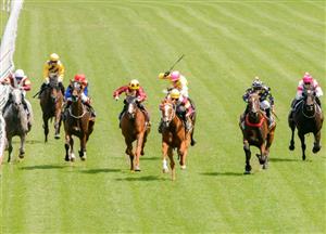 Canberra Tips for 04.02.2022