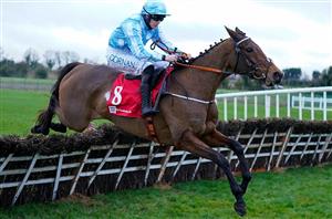 2022 Irish Champion Hurdle Tips - Can anyone deny Honeysuckle another win?