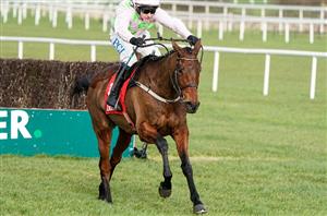 Dublin Racing Festival Tips - Every race covered on day two