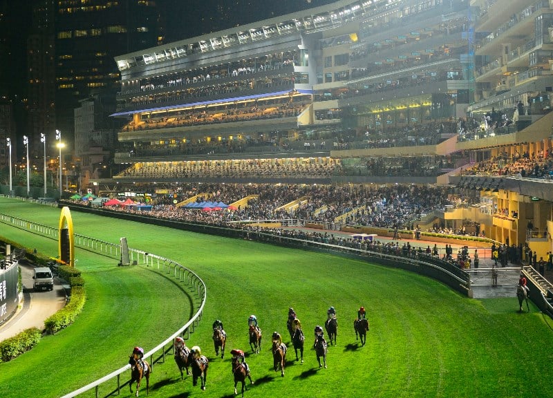 Happy Valley Racing Tips, Best Bets & Odds Today's Betting Tips for