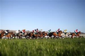 champion bumper