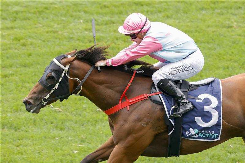SYDNEY, AUSTRALIA - FEBRUARY 12: Reece Jones on Invincible Kiss wins race 4 the Midway Handicap  during Sydney Racing at Royal Randwick Racecourse on February 12, 2022 in Sydney, Australia. (Photo by Jenny Evans/Getty Images)