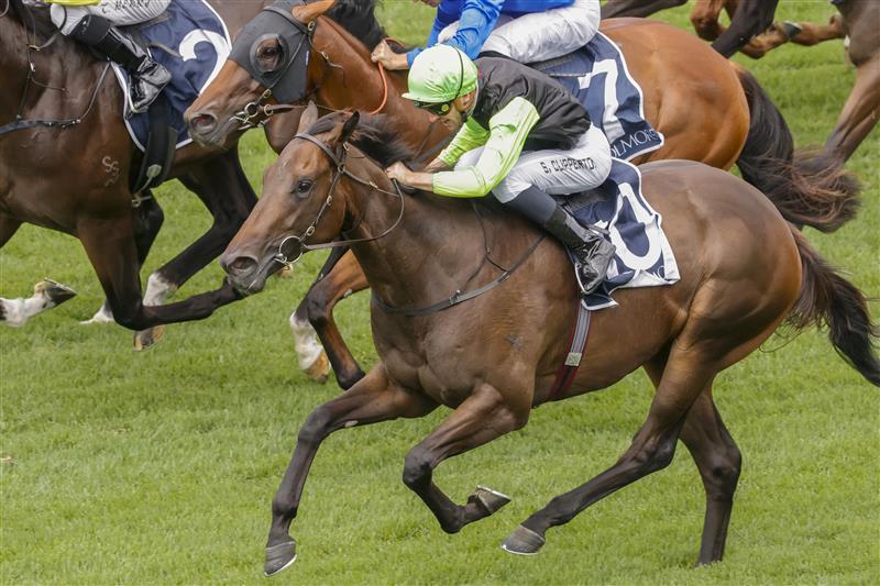 SYDNEY, AUSTRALIA - FEBRUARY 12: Sam Clipperton (green cap) on Mumbai Jewel wins race 1 the Coolmore Pierro Plate during Sydney Racing at Royal Randwick Racecourse on February 12, 2022 in Sydney, Australia. (Photo by Jenny Evans/Getty Images)