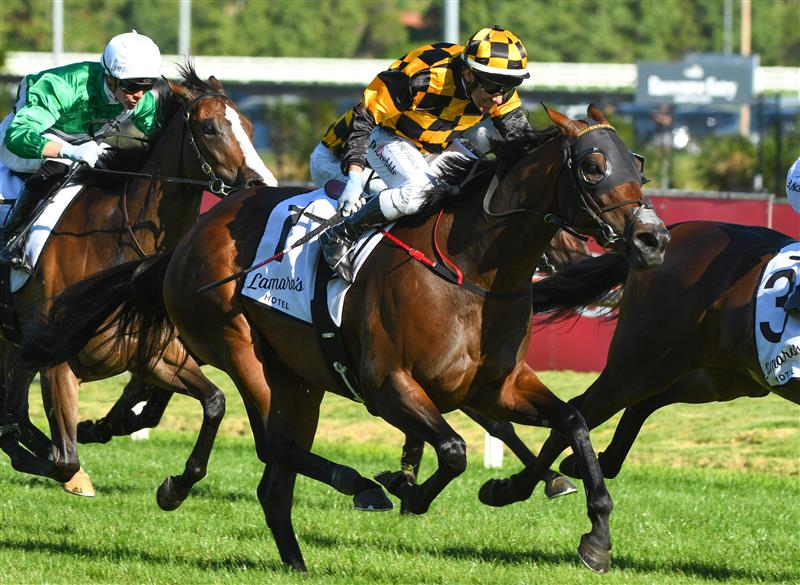 MELBOURNE, AUSTRALIA - FEBRUARY 12: Brett Prebble riding Probabeel winning Race 9, the Lamaros Hotel Geoffrey Bellmaine Stakes12, during Melbourne Racing at Caulfield Racecourse on February 12, 2022 in Melbourne, Australia. (Photo by Vince Caligiuri/Getty Images)