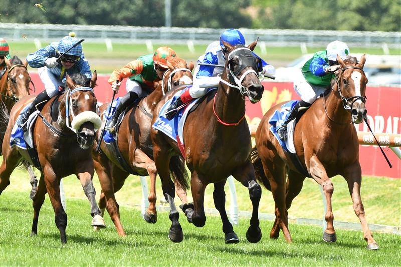 MELBOURNE, AUSTRALIA - FEBRUARY 12: Craig WIlliams riding Coastwatch winning Race 2, the Hyland Race Colours Autumn Stakes, during Melbourne Racing at Caulfield Racecourse on February 12, 2022 in Melbourne, Australia. (Photo by Vince Caligiuri/Getty Images)