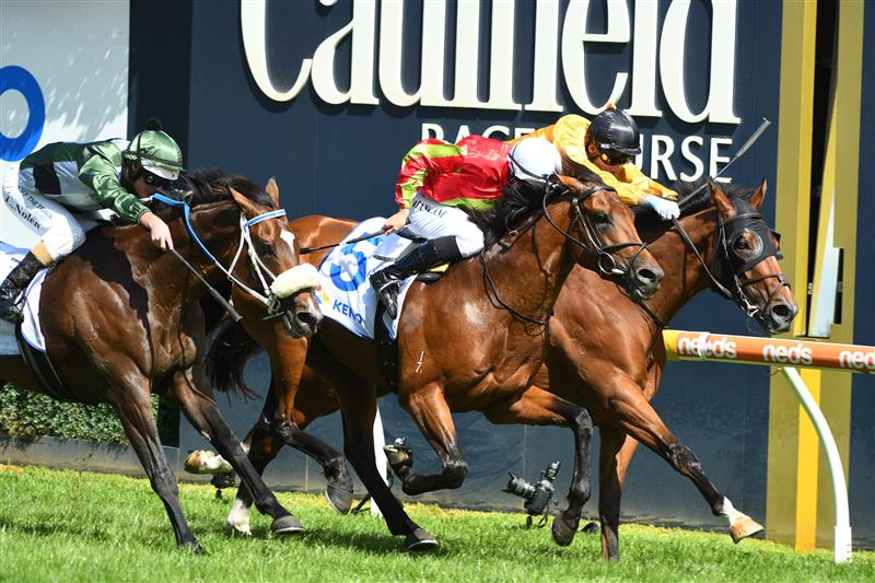 MELBOURNE, AUSTRALIA - FEBRUARY 12: Damian Lane riding Earlswood (ctr) defeats Callsign Mav and Spanish Mission in race 6, the Keno T.s. Carlyon Cup, during Melbourne Racing at Caulfield Racecourse on February 12, 2022 in Melbourne, Australia. (Photo by Vince Caligiuri/Getty Images)