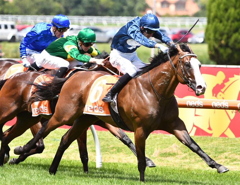 MELBOURNE, AUSTRALIA - FEBRUARY 12: Jamie Mott riding Lofty Strike winning Race 3, the Neds Blue Diamond Prelude C&g, during Melbourne Racing at Caulfield Racecourse on February 12, 2022 in Melbourne, Australia. (Photo by Vince Caligiuri/Getty Images)