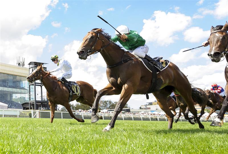 MELBOURNE, AUSTRALIA - FEBRUARY 12: Mark Zahra riding Argentia (L) winning  race 5,  the Senet Kevin Hayes Stakes, during Melbourne Racing at Caulfield Racecourse on February 12, 2022 in Melbourne, Australia. (Photo by Vince Caligiuri/Getty Images)
