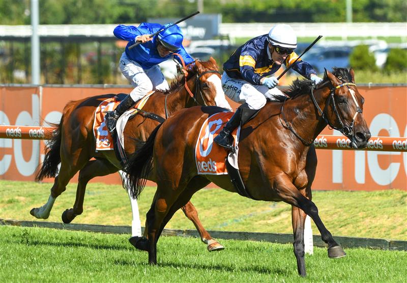MELBOURNE, AUSTRALIA - FEBRUARY 12: Mark Zahra riding Tofane winning Race 8, the Neds C.f. Orr Stakes, during Melbourne Racing at Caulfield Racecourse on February 12, 2022 in Melbourne, Australia. (Photo by Vince Caligiuri/Getty Images)