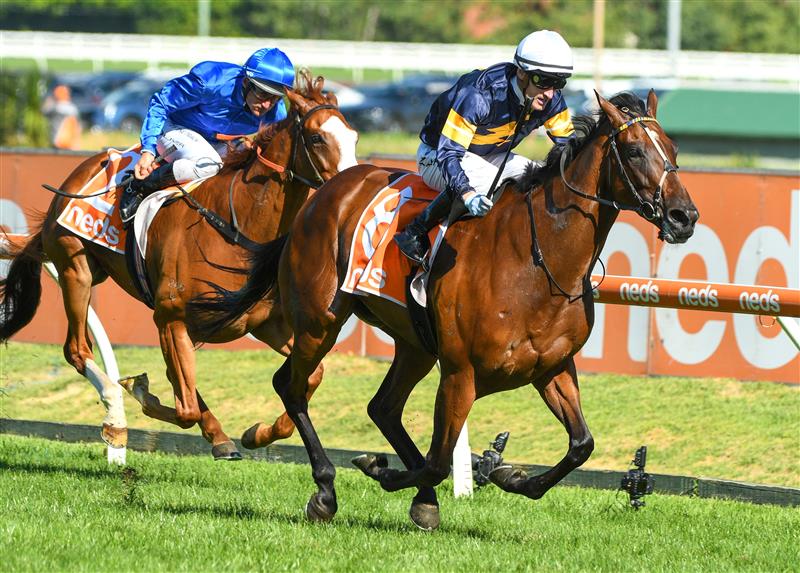 MELBOURNE, AUSTRALIA - FEBRUARY 12: Mark Zahra riding Tofane winning Race 8, the Neds C.f. Orr Stakes, during Melbourne Racing at Caulfield Racecourse on February 12, 2022 in Melbourne, Australia. (Photo by Vince Caligiuri/Getty Images)