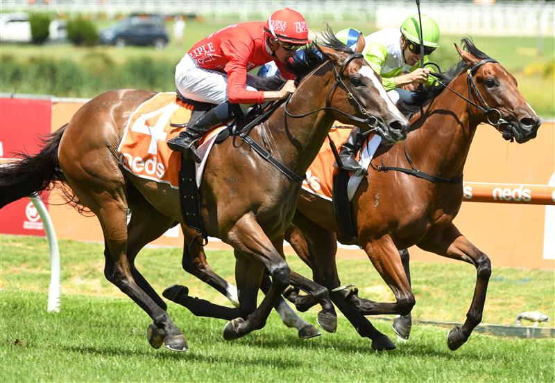 MELBOURNE, AUSTRALIA - FEBRUARY 12: Michael Dee riding Revolutionary Miss winning Race 4, the Neds Blue Diamond Prelude Fillies, during Melbourne Racing at Caulfield Racecourse on February 12, 2022 in Melbourne, Australia. (Photo by Vince Caligiuri/Getty Images)