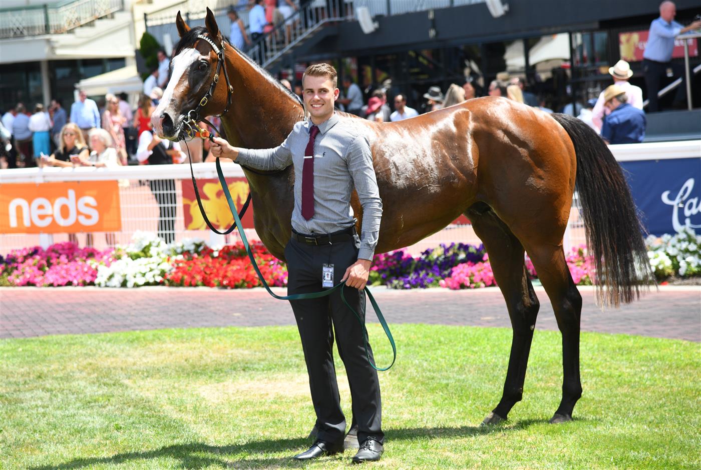 MELBOURNE, AUSTRALIA - FEBRUARY 12: Lofty Strike after winning Race 3, the Neds Blue Diamond Prelude C&g, during Melbourne Racing at Caulfield Racecourse on February 12, 2022 in Melbourne, Australia. (Photo by Vince Caligiuri/Getty Images)