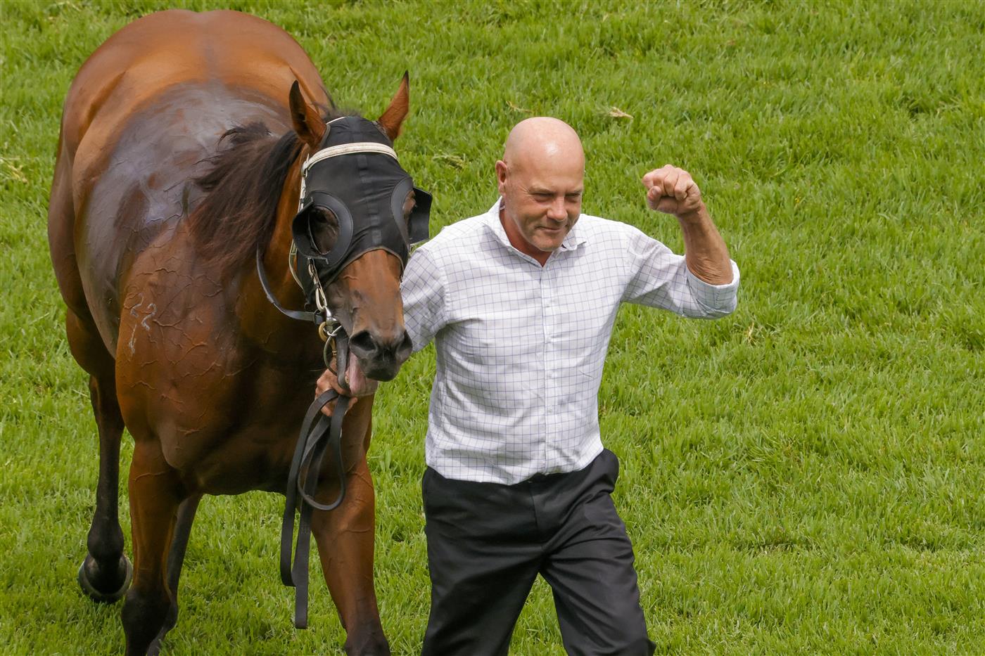SYDNEY, AUSTRALIA - FEBRUARY 12: Trainer Wayne Seelin walks Invincible Kiss and fist pumps after winning race 4 the Midway Handicap during Sydney Racing at Royal Randwick Racecourse on February 12, 2022 in Sydney, Australia. (Photo by Jenny Evans/Getty Images)