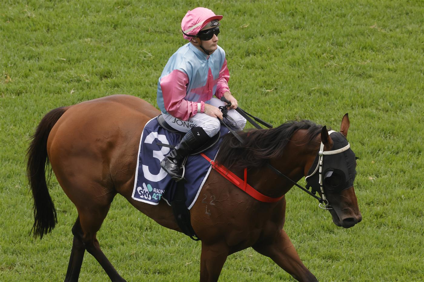 SYDNEY, AUSTRALIA - FEBRUARY 12: Reece Jones on Invincible Kiss returns to scale after winning race 4 the Midway Handicap  during Sydney Racing at Royal Randwick Racecourse on February 12, 2022 in Sydney, Australia. (Photo by Jenny Evans/Getty Images