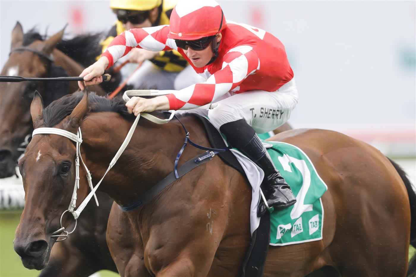 SYDNEY, AUSTRALIA - FEBRUARY 12: Tom Sherry on Highlights wins race 2 the Tab Highway Handicap  during Sydney Racing at Royal Randwick Racecourse on February 12, 2022 in Sydney, Australia. (Photo by Jenny Evans/Getty Images)