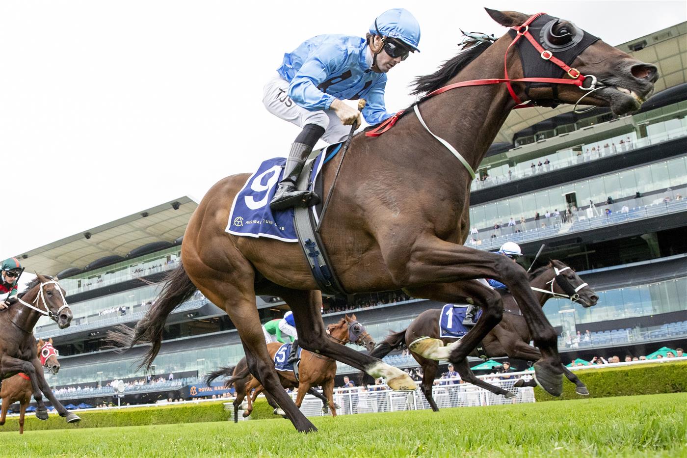 SYDNEY, AUSTRALIA - FEBRUARY 12: Tyler Schiller on Silent Agenda wins race 5 the George Mullen Farewell Mile during Sydney Racing at Royal Randwick Racecourse on February 12, 2022 in Sydney, Australia. (Photo by Jenny Evans/Getty Images)